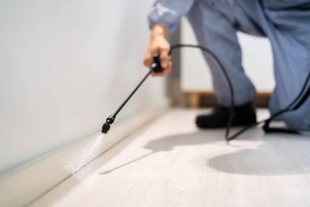 Licensed Rodent Control service in Gregory, TX - Nex Pest Control