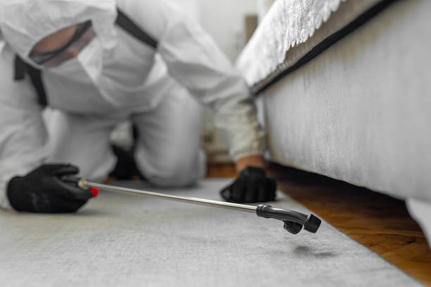Professional Rodent Control technician working in Gregory, TX