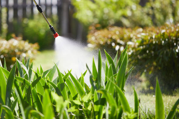 24/7 Emergency Rodent Control experts in Gregory, TX