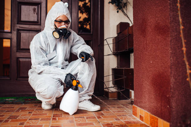 Reliable Rodent Control contractor in Gregory, TX by Nex Pest Control
